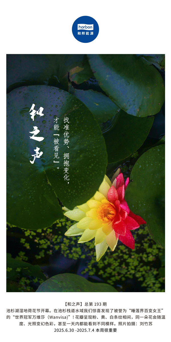 【和之声】找准优势、拥抱变动，能力“被看见”。(总第193期）--2025.6中文导出季度推送用.jpg